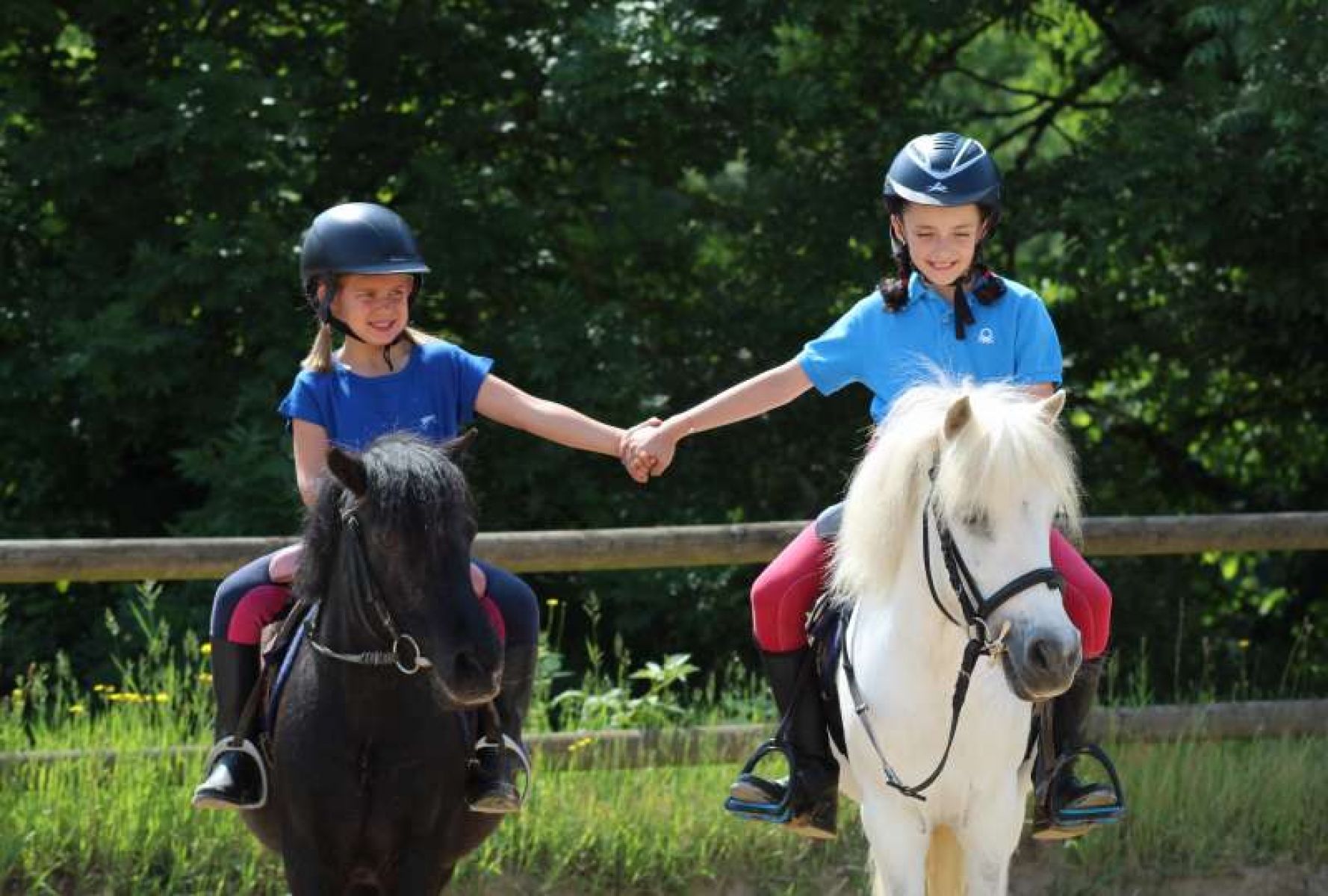 Equitation/ Sport Et Créa Et Sport Nature - Stages Enfants Houffalize ...